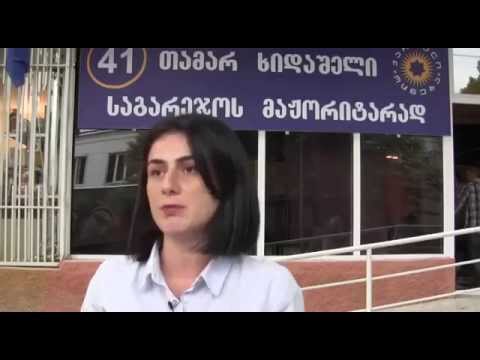 თამარ ხიდაშელი ბადიაურისა და ყანდაურას მოსახლეობას შეხვდა