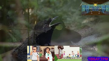 [BBC Planet Earth] Narrator - "No One Is Watching" - Sparta Extended Remix (Ft. Multisource)