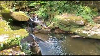 Calibrando a mira da Mamba Negra na cachoeira