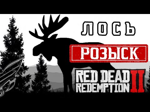 | Dead Redemption 2 - в поисках редкого лося с рогами | Где найти Лося с Рогами в Rdr2 ?