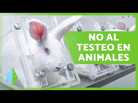 Video: ¿La tipología es libre de crueldad?