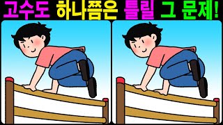 【틀린그림찾기/치매예방】 고수도 하나쯤은 틀릴 그 문제! 【다른그림찾기/두뇌운동】