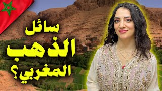 ثروات المغرب - مراكش 🇲🇦 | زيت الأرغان ـ السجاد المغربي | Moroccan ARGAN Oil