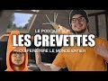 Le fameux podcast sur les crevettes