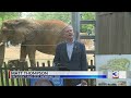 Memphis Zoo announces $250M plan to improve exhibits