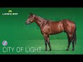 Work of the Day at Del Mar: La Ville Lumiere & Slice worked 5 Furlongs on August 27th, 2026