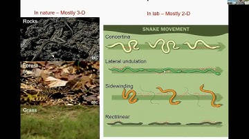 2018 BYI Chen Li, PhD