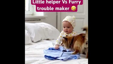 “Little Helper vs Furry Trouble Maker 😂”