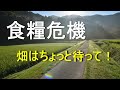 畑や農地の確保 焦らないで落ち着きましょう! 2022/06
