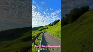 Drive through endless rolling grasslands, wild flower meadows and golden