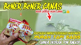 UMPAN IKAN MAS PALING JITU| UMPAN MURAH TAPI SADIS Mancing IKAN MAS Harian,Mantap