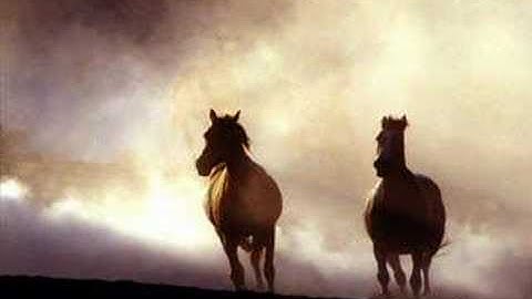 CABALLO NEGRO - Manolo Sanlucar
