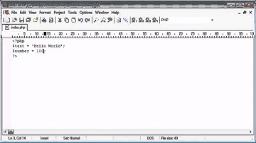 Beginner PHP Tutorial - Lesson №16 - Variables