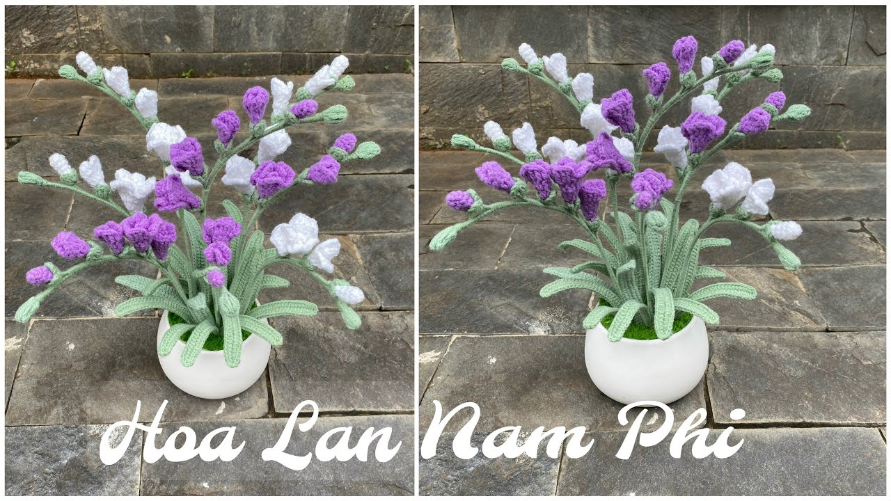 #169 Crochet  Freesia Flower | Móc Hoa Lan Nam Phi | Dương Liễu Handmade