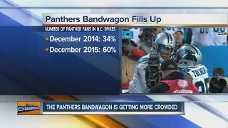 Survey: Panthers Fans Jumped On Bandwagon