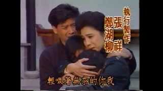 1992 台視 半生緣一世情 楊慶煌 狄鶯 藍潔瑛 謝屏楠