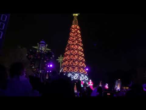 香港ディズニーランドにドローン初登場！クリスマスツリー点灯式がより華やかにリニューアル