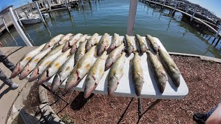 Detroit River Walleye Jigging