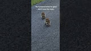 The Closest Ill Ever Be To A Disney Princess