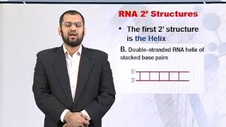 Topic 92 (BIF401 - Bioinformatics I)