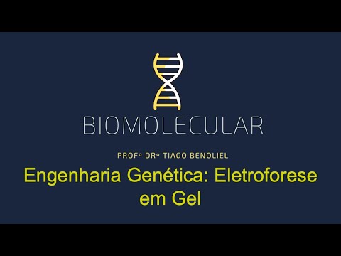 Vídeo: Qual fator a eletroforese em gel usa para separar o quizlet de moléculas de DNA?