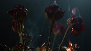 Ashlee Keyton - Tango Official Music Video