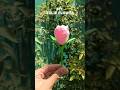 DIY tulip flower🌷|| DIY room decor #diy #decor #aesthetic #roomdecor #tulip #clay #shorts #viral #yt