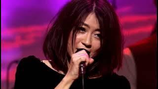 [HD] Utada Hikaru - Automatic (IN THE FLESH 2010)