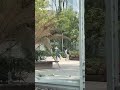 CNTE tira puerta de la SEP e irrumpe en sus instalaciones