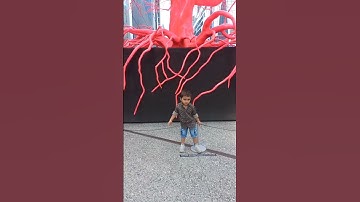 Thumbnail of The High Line😊New York😊Short #Shital Thite.