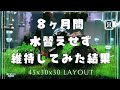 45cm水槽の立ち上げから維持管理が楽すぎたので経過を徹底解説【アクアリウム】草原レイアウト 水草レイアウト ショートヘアグラス