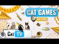 بازی&zwnj;های گربه&zwnj;ای سال نو | مجموعه بی&zwnj;نظیر گربه&zwnj;های تلویزیونی | ۸ ساعت 🎆