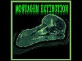 MONTAGEM EXTINCTION SussySans MONTAGEM EXTINCTION SussySans