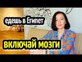 ЕДЕШЬ В ЕГИПЕТ- ВКЛЮЧАЙ МОЗГИ😪🤦♀️ 13 лет в Египте🌴замуж за нарцисса🤦♀️