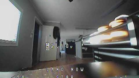 Beta65S - Tiny Whoop - First flight around the house