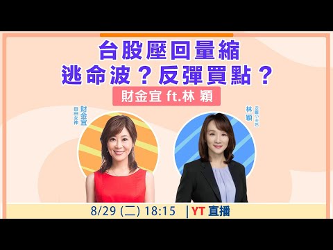 【自由女神邱沁宜】台股壓回量縮 逃命波？反彈買點？ Feat.林穎