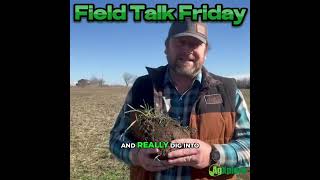 Study Soil Life  Why the Biology Beneath Your Fields Matters for Nutrients, Roots, and Yield