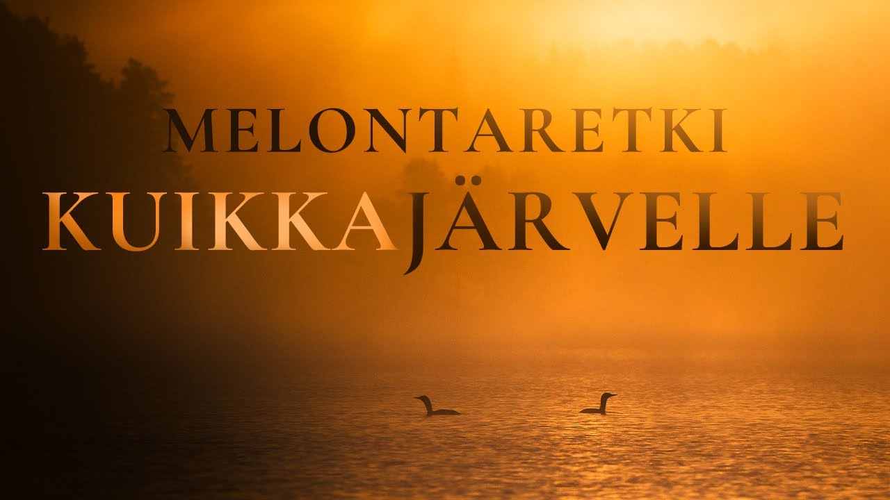 Tavoitteena täydellinen kuva kuikasta