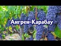 Ангрен. Карабау, Узбекистан. Angren. Видеоблог Эдуарда Дадамьянца.