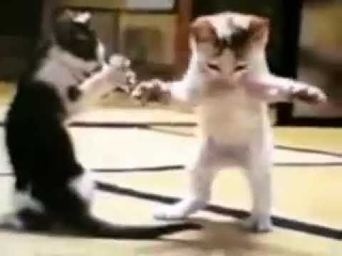 اغنيه ندى حبيبة بابا