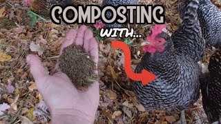 Chicken Composting System |Free Compost In 2 Weeks|