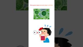 Cyanobacteria Kya hoti hai..? #neetfoundation #studymotivation #shorts #viral #class9biology