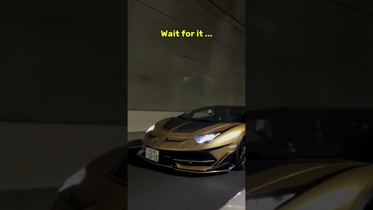 Lamborghini V12 Beast 🔥🏎️