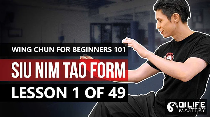 Wing Chun for Beginners 101   Siu Nim Tao Form (Le...