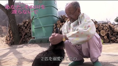 結婚76年の夫婦愛、予告編だけで泣ける／映画『あなた、その川を渡らないで』本編映像