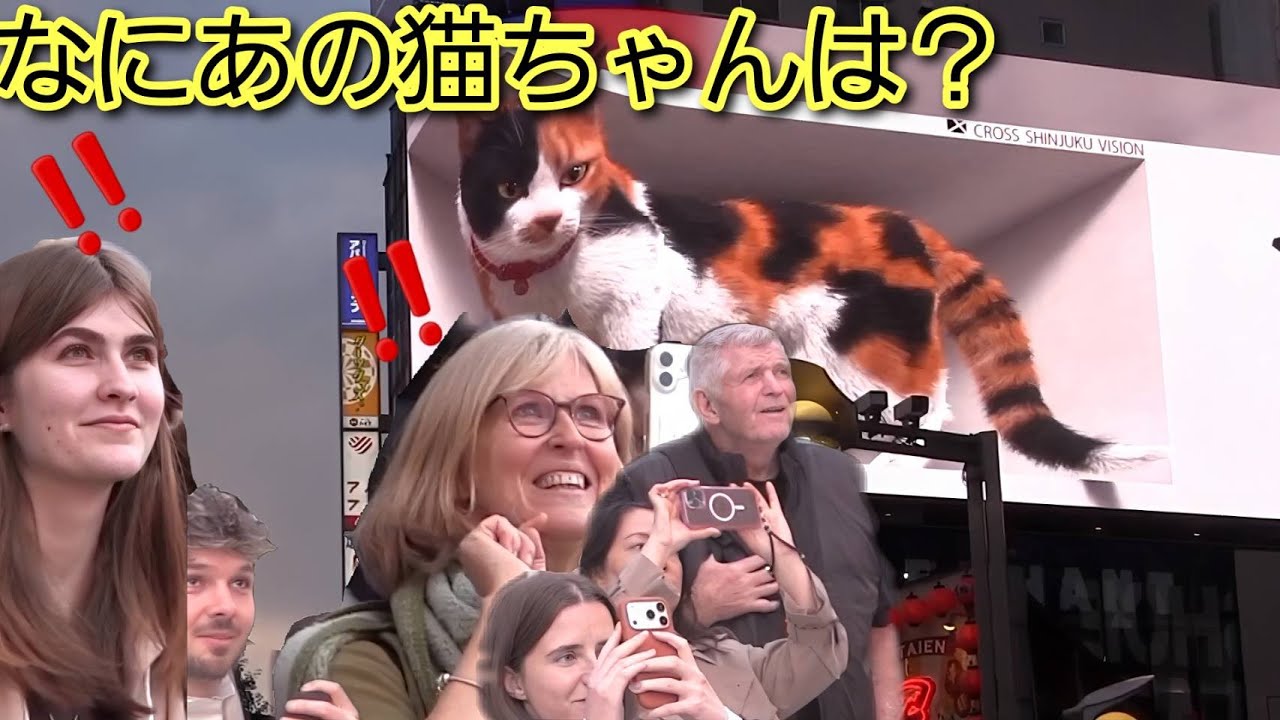 なにあの猫ちゃんは？外国人観光客が日本の最新3D広告にたまげる