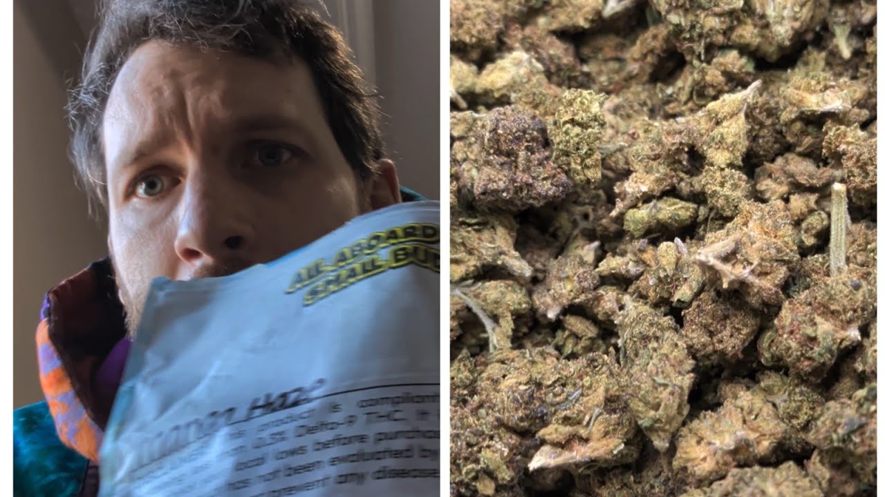 "Mango Haze" Thca Small Buds clearance bulk hemp