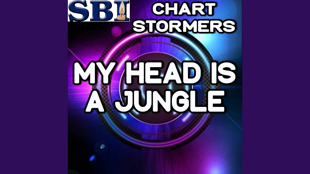 My Head Is A Jungle Radio Edit