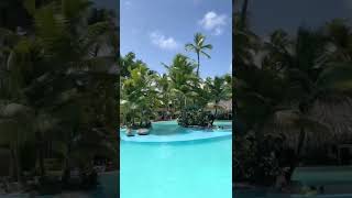 Dominicana vibes 🏝️😍 #travel #shorts #dronevideo #beach #traveller #poolside #puntacana #ocean