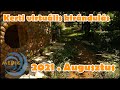 Kerti virtuális kirándulás - Medig kertje 2021. augusztusában...